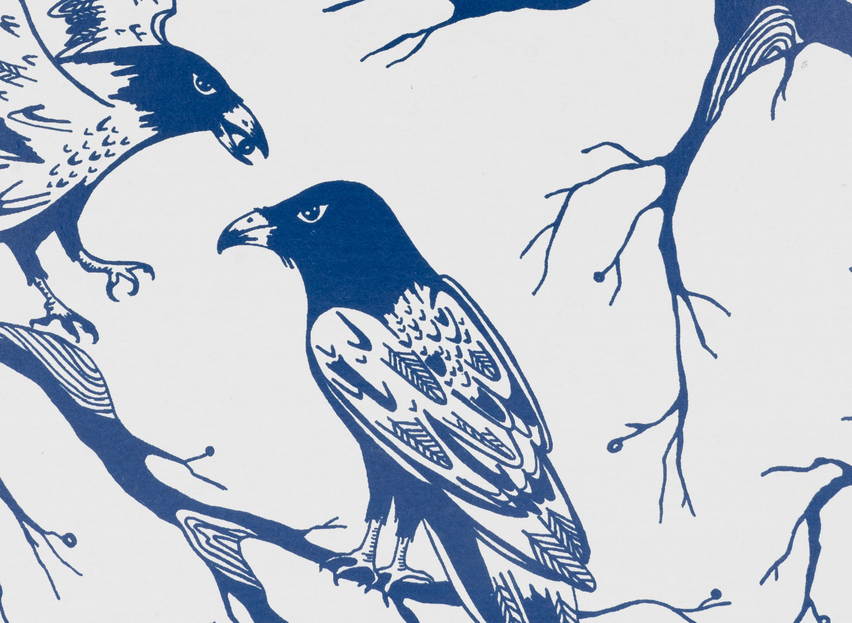Ravens Decomposition Book
